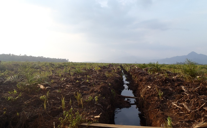 west-kalimantan-drainage.jpg