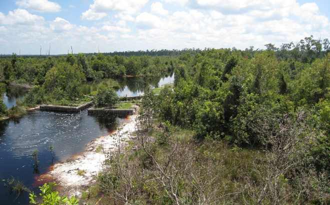 cent-kalimantan-dam.jpg