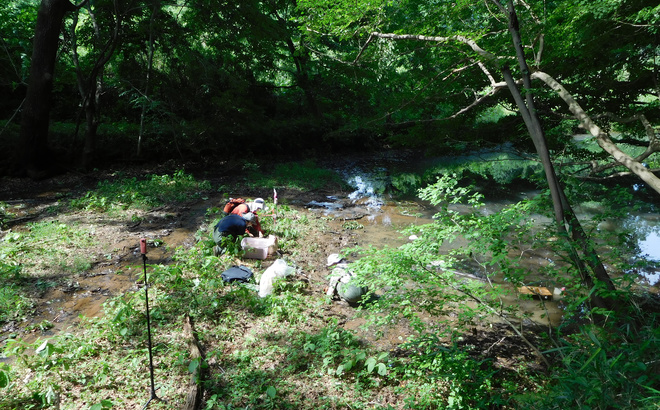 dscn2524.jpg
