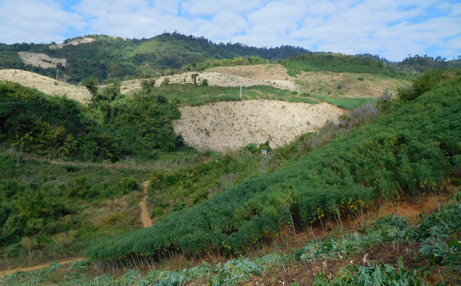 dscn2614.jpg