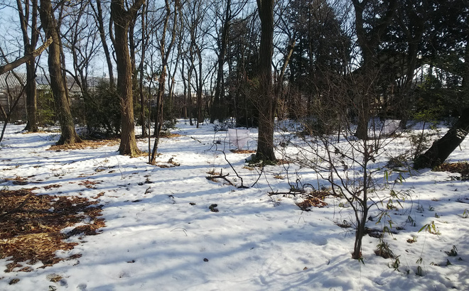 kamitome_winter.jpg