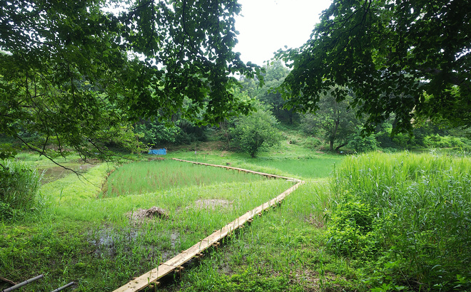 dsc_1819.jpg